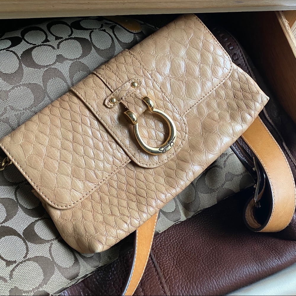 Snakeskin Clutch